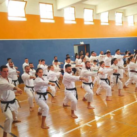 Evening Seminar September 2022 - Kagawa Shihan Blog Article Thumbnail