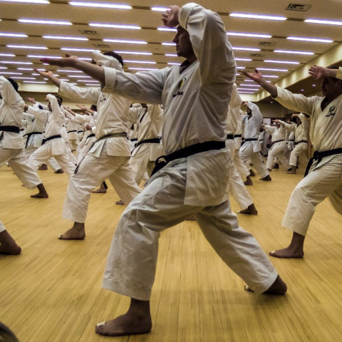 Shotokan Ireland Seminar 2022 Blog Article Thumbnail